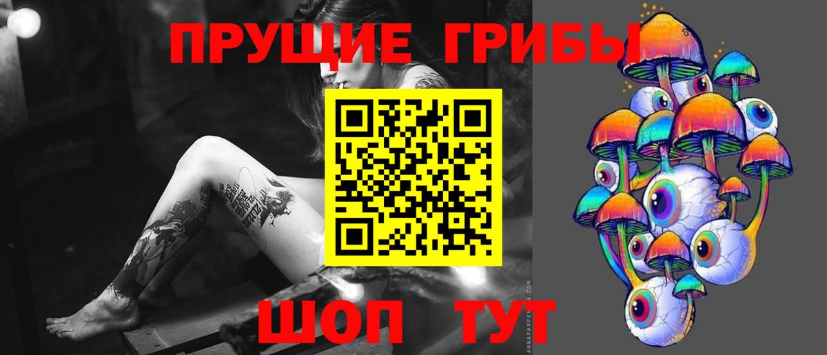 Краснодар  Галлюциногенные грибы Cubensis  Вход с VPN 